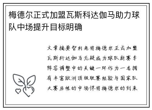 梅德尔正式加盟瓦斯科达伽马助力球队中场提升目标明确