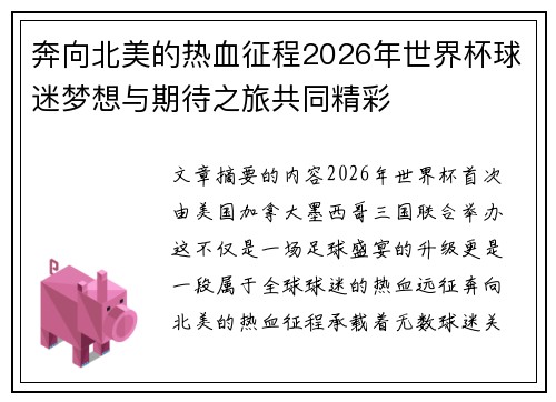 奔向北美的热血征程2026年世界杯球迷梦想与期待之旅共同精彩